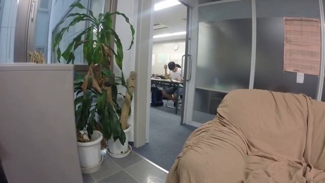 Пробный экзамен JLPT N5