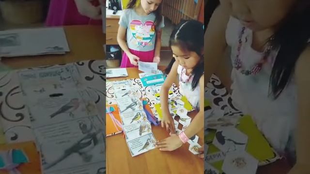 Лэпбук "Зимующие птицы"