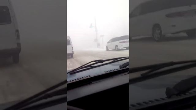 Ёжик в тумане.мкр Тунгуч, сегодня утром!