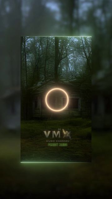 VM66 - Forest Ruine
