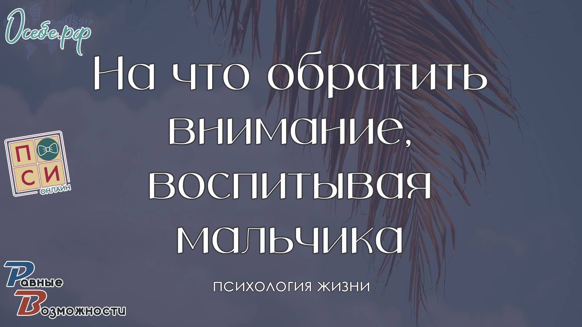 На что обратить внимание при воспитании мальчика & Наталья Москвитина