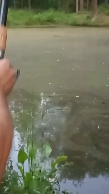 Relaxation for the fisherman