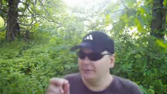 Квантум Качества ч.1 : Квест Капуста Жить Гать