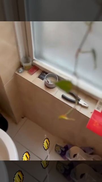 ПОМОГ ПОЛЫ ПОМЫТЬ #shorts