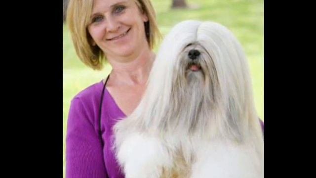 Fernando Lhasa Apso The Best Breed - Lhasa Apso - UKC - 2008