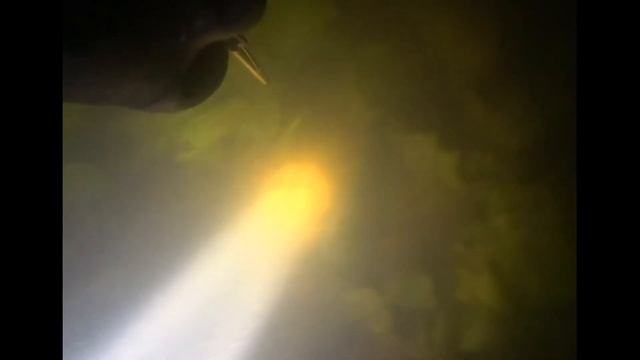 Подводная охота на реке Ока ! Калужская область ! Разведка прозрака !!! Встретил вкусного ОКУНЯ !!!