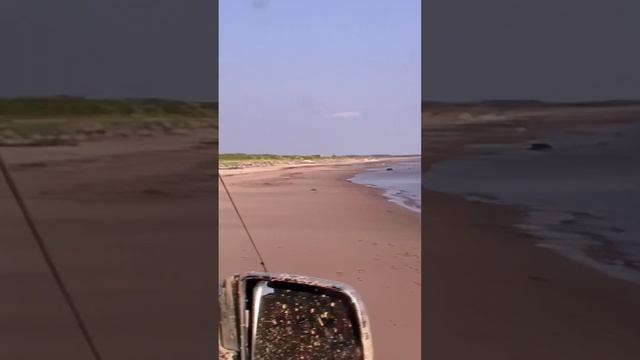 Онежский полуостров вне дорог #offroad #overlanding #онежский