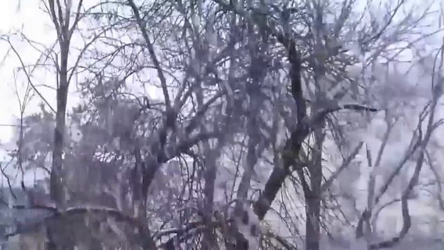 1000020689.mp4Аркадий Кобяков яБури И Метели❄️❄️