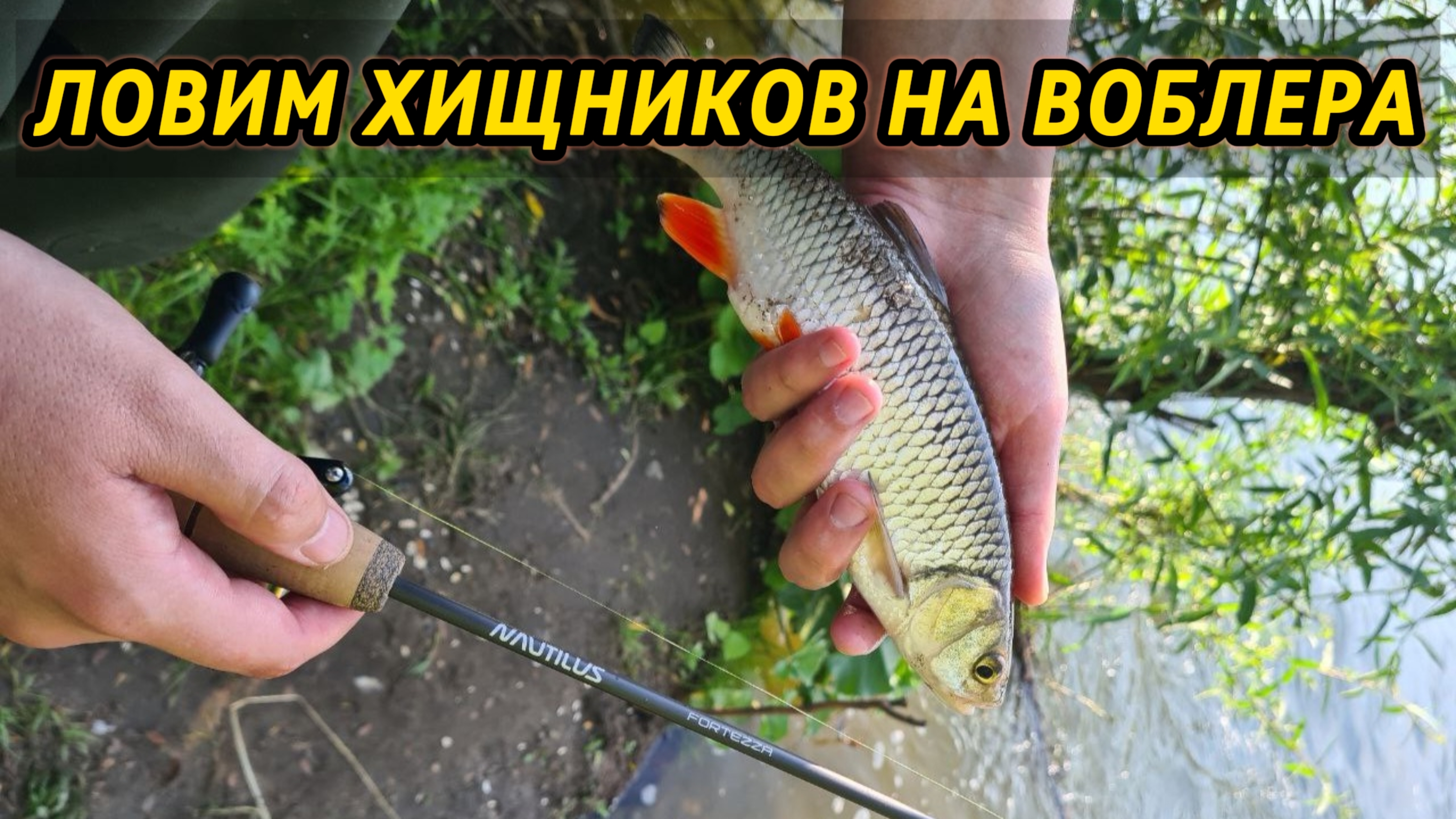 Рыбалка на спиннинг голавля и щуки. Тестируем кренки на ультралайтовые удилища