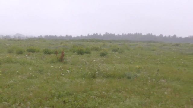 Ульяна 4