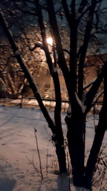 Вечерняя прогулка с Нюхой