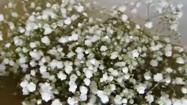 Букет Воздушная гипсофила