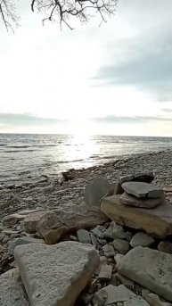 прекрасный мир