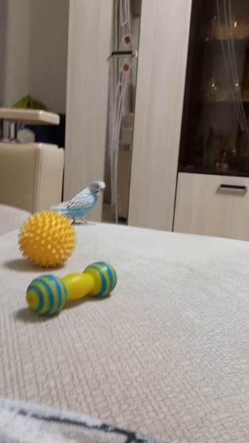 1000006974.mp4