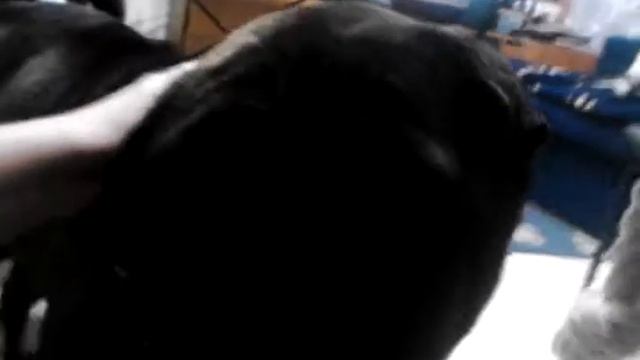 ми-ми-ми няша ^_^