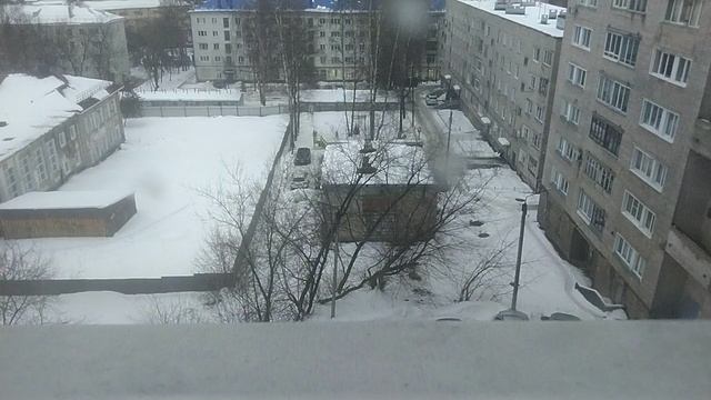 Утренний снежок за окном My favorite yard