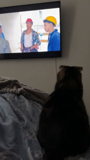 ЧЕССИ🐯СМОТРИТ ФИЛЬМ О СТРИПТИЗЕ