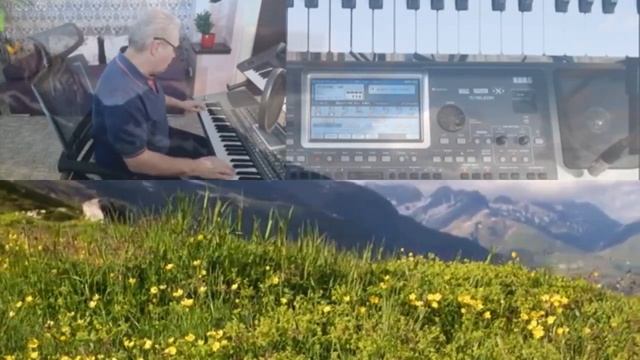 "Ходики"_ Igor Korg _ (Korg PA900)