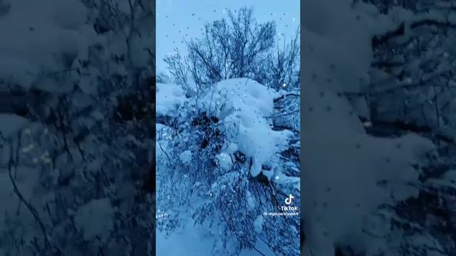 #дождь в январе 🤗#