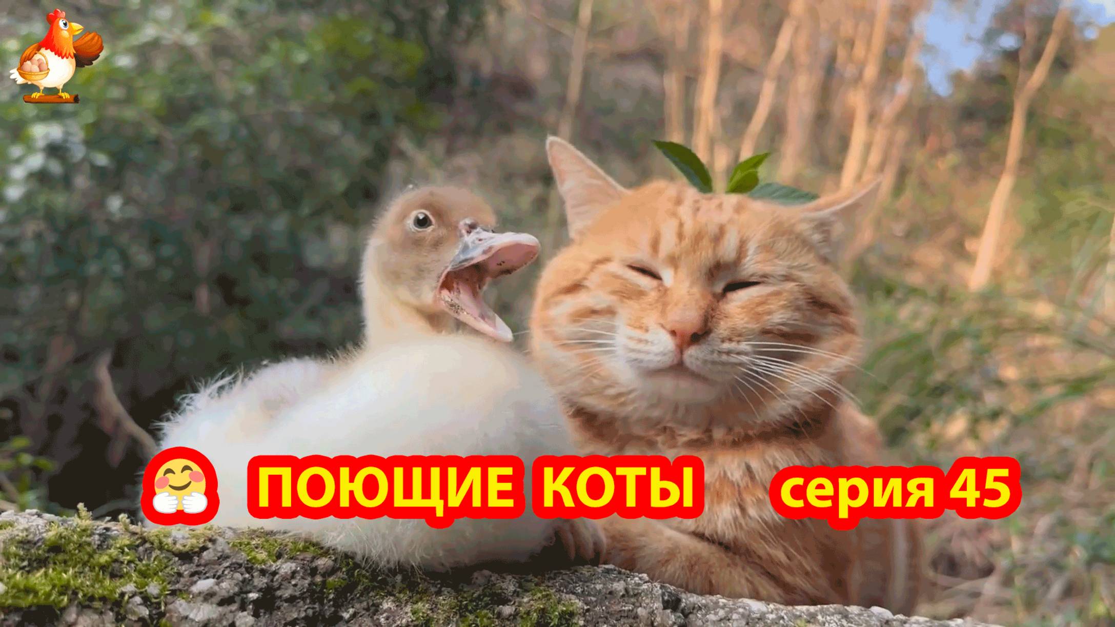 Крутые коты у птичьего двора серия 45 🐈🐈⬛😹 Природа Абхазии и подворье с птицами и животными ❣️