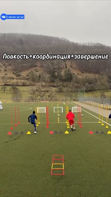 Ловкость+координация+завершение / Agility+Coordination+Completion