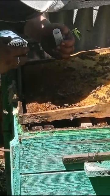 VID-20250129-WA0009