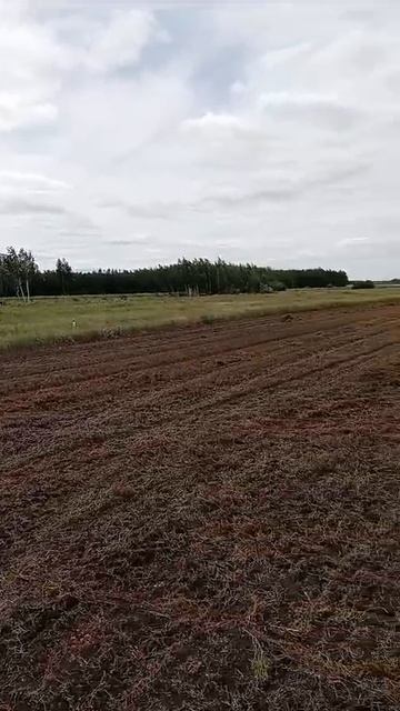 АСТРАХАНКА ПОЧТА БАНК 89059421154