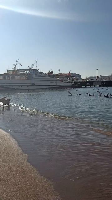 и нас покажи