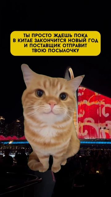Ждем)