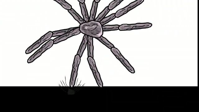 misty guest 2 vs web Kraken (requested)