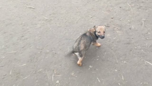 Херсонщина 29 января 2025 года