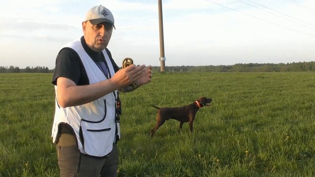 7. НАТАСКА ЛЕГАВЫХ / ПОДВОДКА