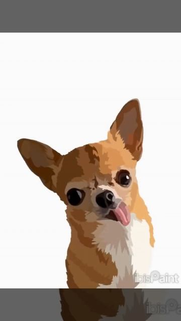Diseño de perro Bandido en ibisPaint - Pichi Art  #amoranimal #dog  #ilustraciondigital