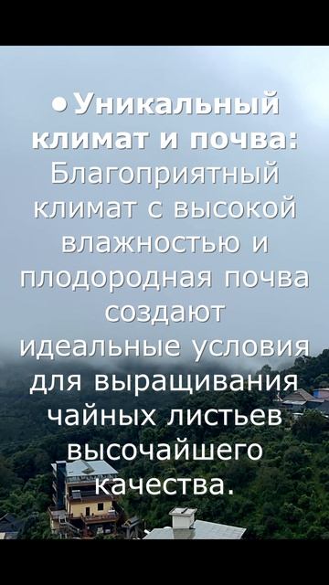 гора Pa Sha

#Shorts