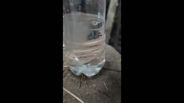 Вода замерзает от сотрясения бутылочки
