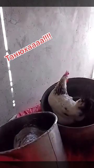 1000038426.mp4