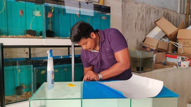 How to Attach DIY Aquarium Fish Tank Background