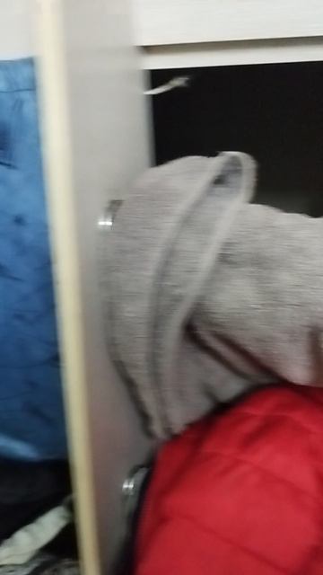 Как не нужно подготавливать помещение к уничтожению клопов или тараканов. Дезинсекция Дезинфекция