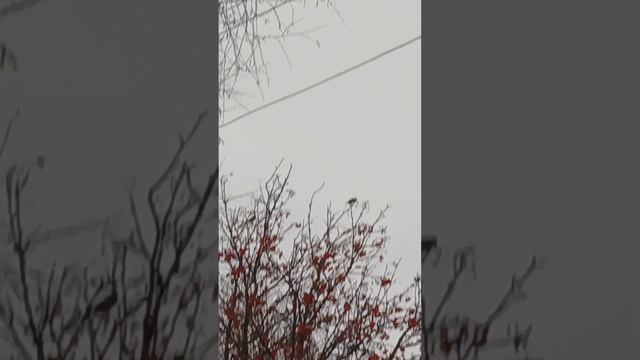 Надежда