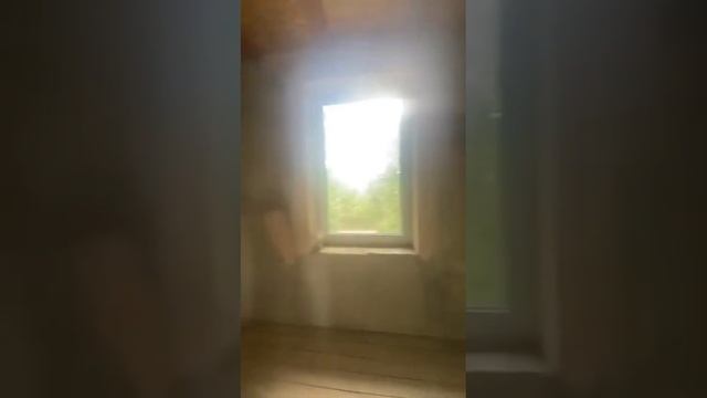 малиновка , дом внутри