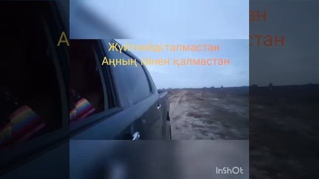 Тазы Атырау