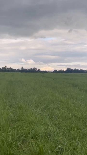 30 июля 2024 г.