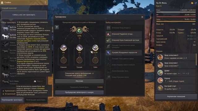 Black Desert 2021.05.04 - 19.17.38.01