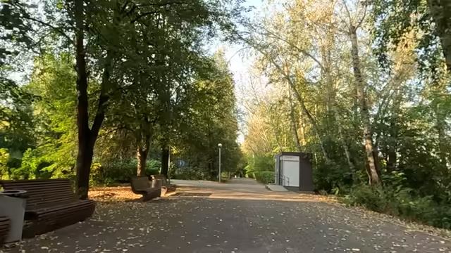 Заметив, что после визита свекрови ковер в зале лежит не так, Маша замерла… А решив поднять, замерла