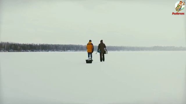 Как поймать Судака зимой в Январе. Ловля судака по льду в январе.