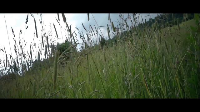 Кросс. Мысли вслух.