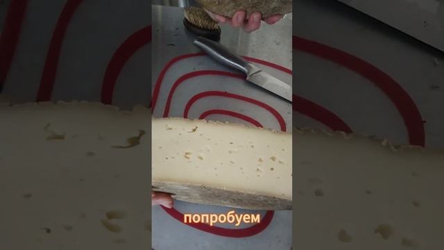 Сыр с ароматом лесных орехов