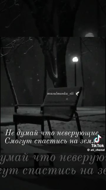 Сура 24 аят 56 - 57