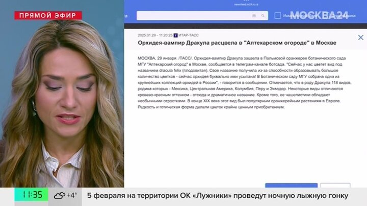 Орхидея-вампир Дракула расцвела в "Аптекарском огороде" в Москве