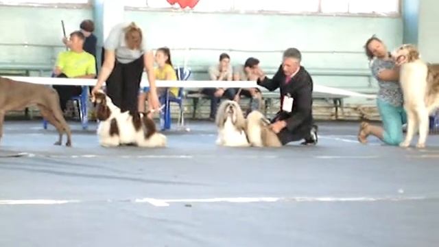 лхаса апсо DEST  of  BEST